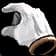 Gloves of Oblivion